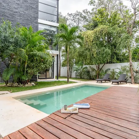 Loft Laurel Plunge Pool , Wifi, A/C, Parking Apartment